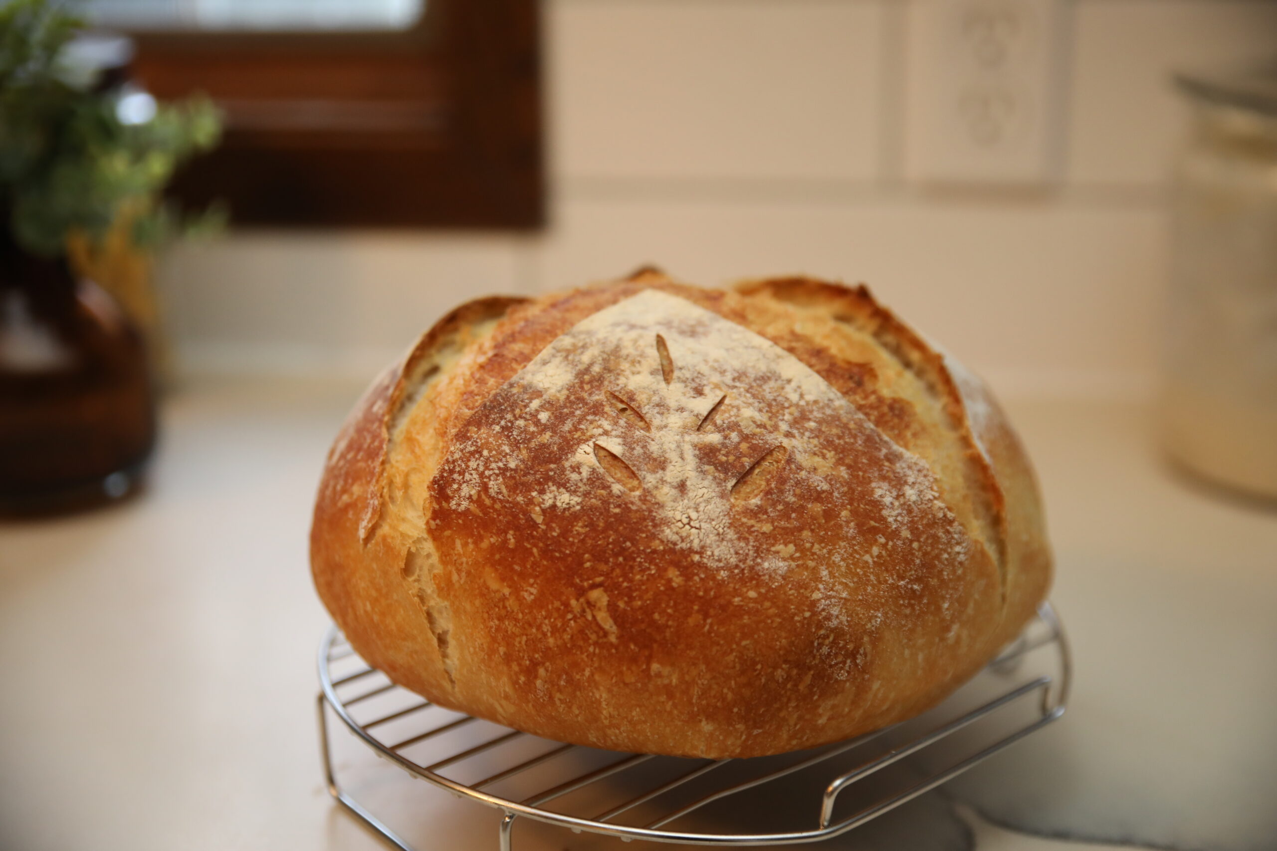 How to Store Sourdough Bread for Maximum Freshness